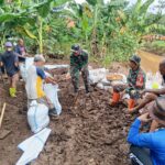 Perbaiki Tanggul Yang Jebol, Babinsa Dan Warga Gotong Royong