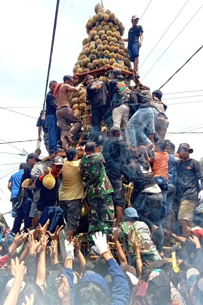 Pabung Kodim 0819 Pasuruan Hadiri Acara Bersama Pejabat Kabupaten,Selamatan Desa dan Tumpeng Durian Desa Kronto