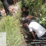 Anggota Sat Reskrim Polsek Peringgabaya Laksanakan Pengecekan, Penemuan Kerangka Tengkorak Manusia di Sawah