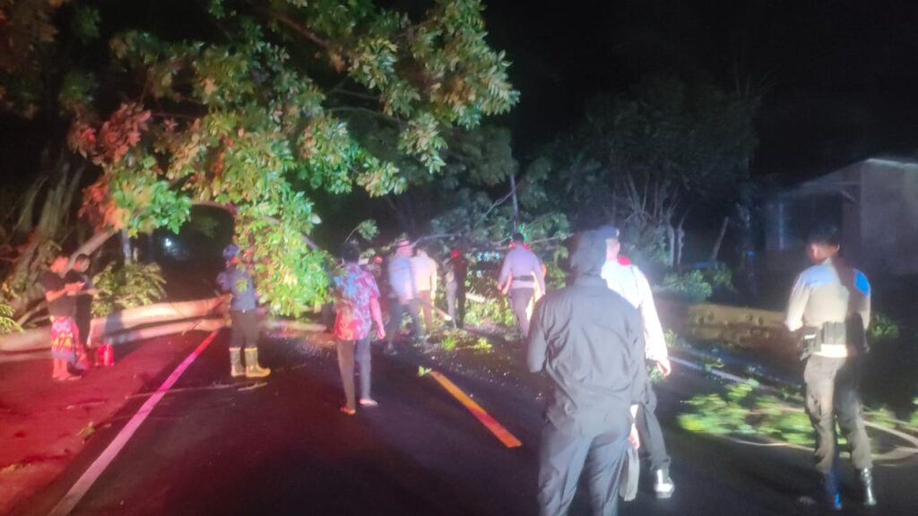 Polsek Gangga Gandeng Damkar Evakuasi Pohon Tumbang