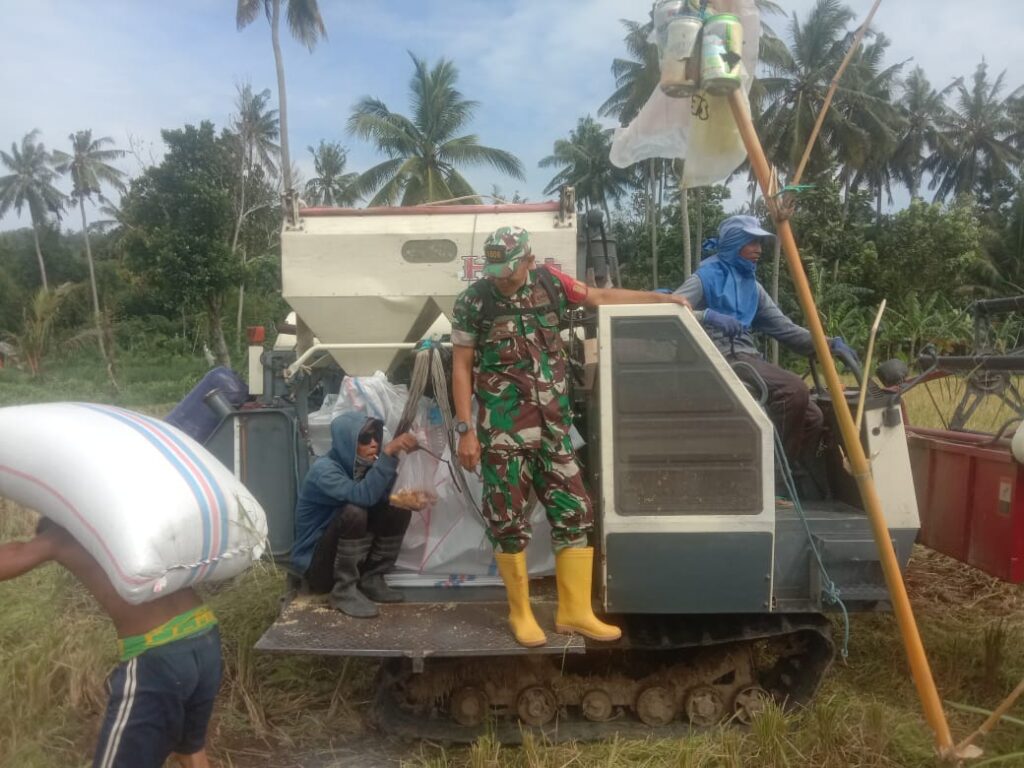 Program Ketahanan Pangan: Babinsa Dukung Petani di Batulayar