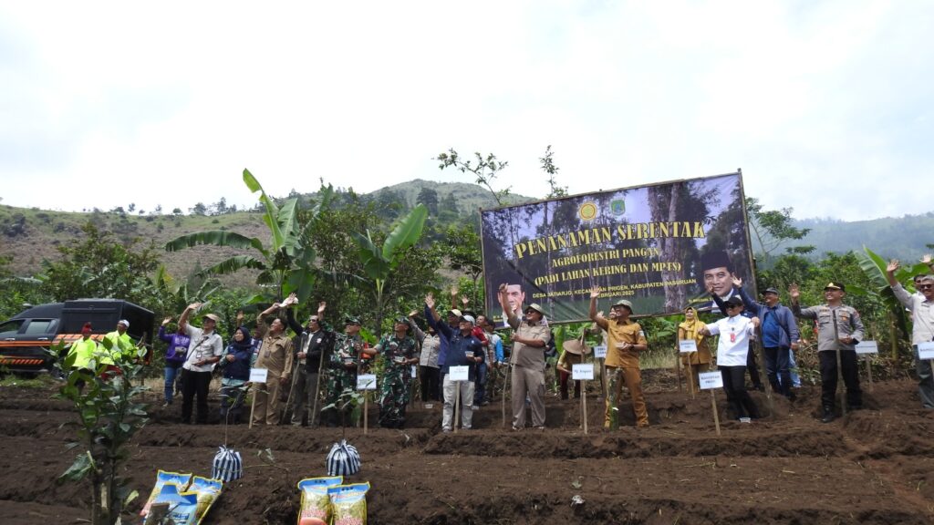 Dukung Ketahanan Pangan, Kasdim 0819 Pasuruan Hadiri Penanaman Padi Gogo Serentak di Jatiarjo