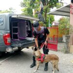 Polda NTB Kerahkan Polmas K9 Berkemampuan SAR Untuk Bantu Pencarian Korban Banjir di Bima