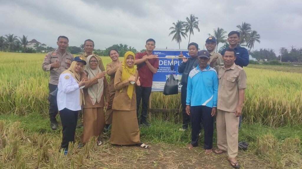 Polsek Tanjung berkolaborasi Dengan Dinas Pertanian UPTD Tanjung Ambil Sample Ubinan Padi