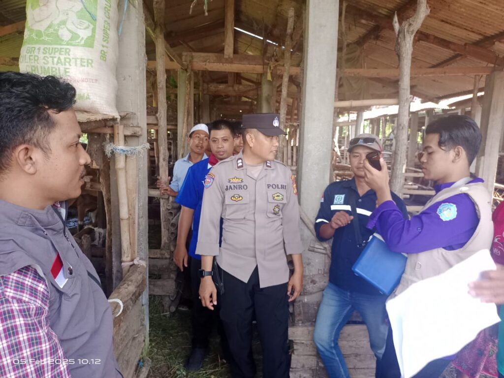 Polres Loteng Bantu Edukasi Peternak, Cegah PMK