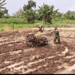 Wujud Kepedulian, Babinsa Bantu Warga Bajak Sawah