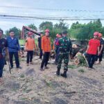 Pohon Tumbang di Karang Sukun Selong, Babinsa dan BPBD Sigap Lakukan Penanganan