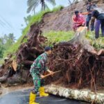 Babinsa Tetebatu Selatan Bersama Warga Bersihkan Jalan Tertutup Longsor