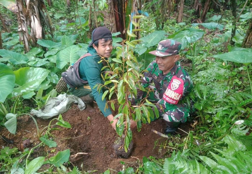 Hijaukan Desa! Babinsa Selelos dan Mahasiswa KKN Tanam Pohon