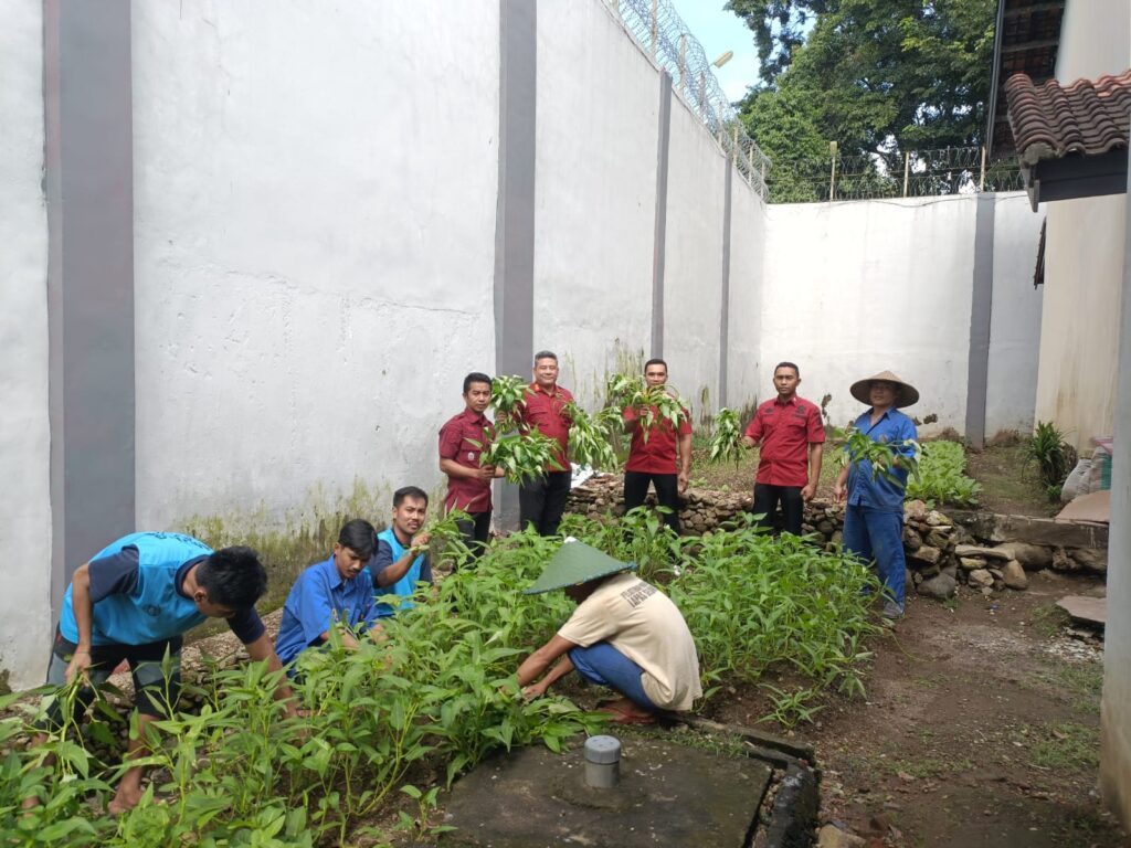 Lapas Selong Panen Kangkung Bukti Nyata Wujudkan Ketahanan Pangan