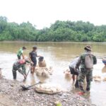 Bersama Warga Anggota Satgas TMMD Manfaatkan Batu Dari Sungai Mahakam Untuk Semenisasi Jalan