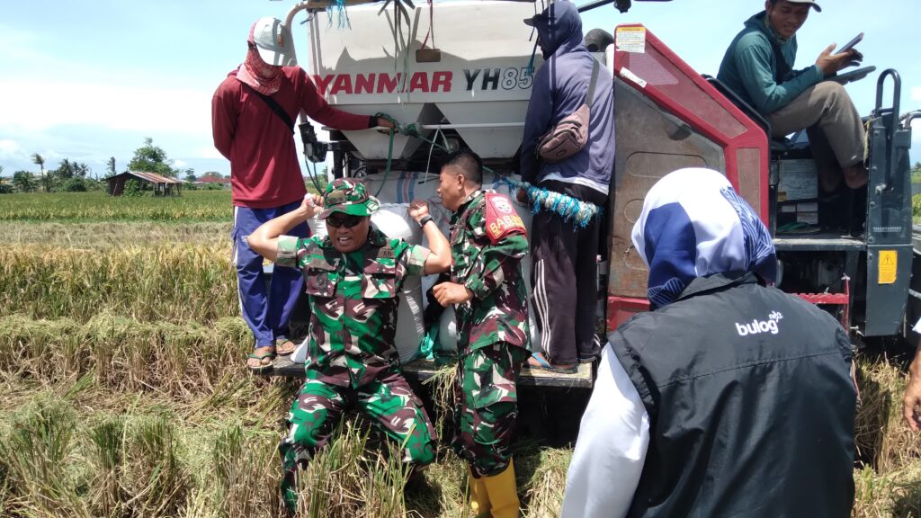 Dandim 1606/Mataram Pantau Stok Beras dan Serapan Gabah Petani