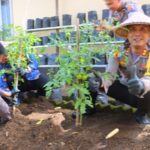 Polres Lombok Utara Launching Penguatan P2L Serentak di Lahan P2L Polres Lombok Utara