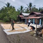 Babinsa Koramil 1002-08/Labuan Amas Utara, Bantu Warga Jemur Padi di Tengah Upaya Peningkatan Ketahanan Pangan