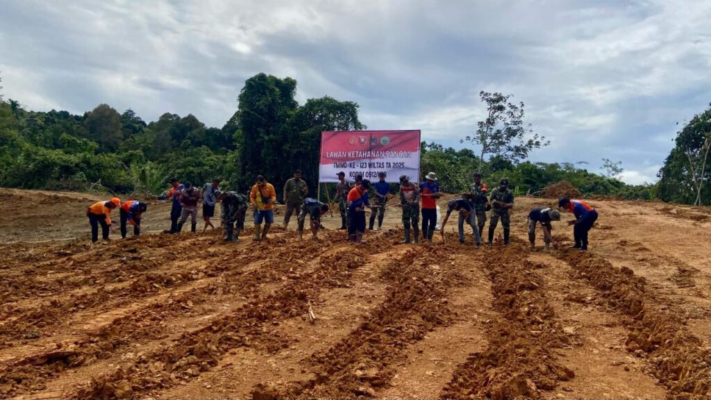 Bersama Warga Anggota Satgas TMMD Wiltas ke-123 Kodim 0912/Kubar Tanam Singkong di Kampung Laham