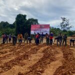 Bersama Warga Anggota Satgas TMMD Wiltas ke-123 Kodim 0912/Kubar Tanam Singkong di Kampung Laham