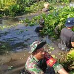 Bersihkan Sungai untuk Irigasi Sawah di Desa Keladan Baru” Ini Harapan Babinsa Gambut 