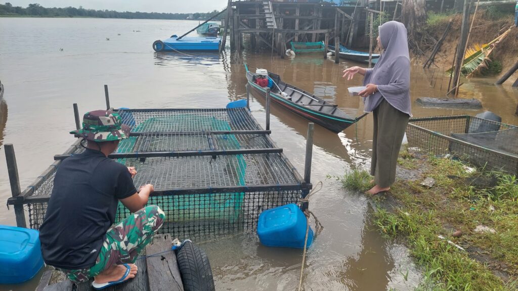 Anggota Satgas TMMD Ke-123, Dampingi Peternak Beri Makan Ikan