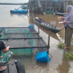 Anggota Satgas TMMD Ke-123, Dampingi Peternak Beri Makan Ikan