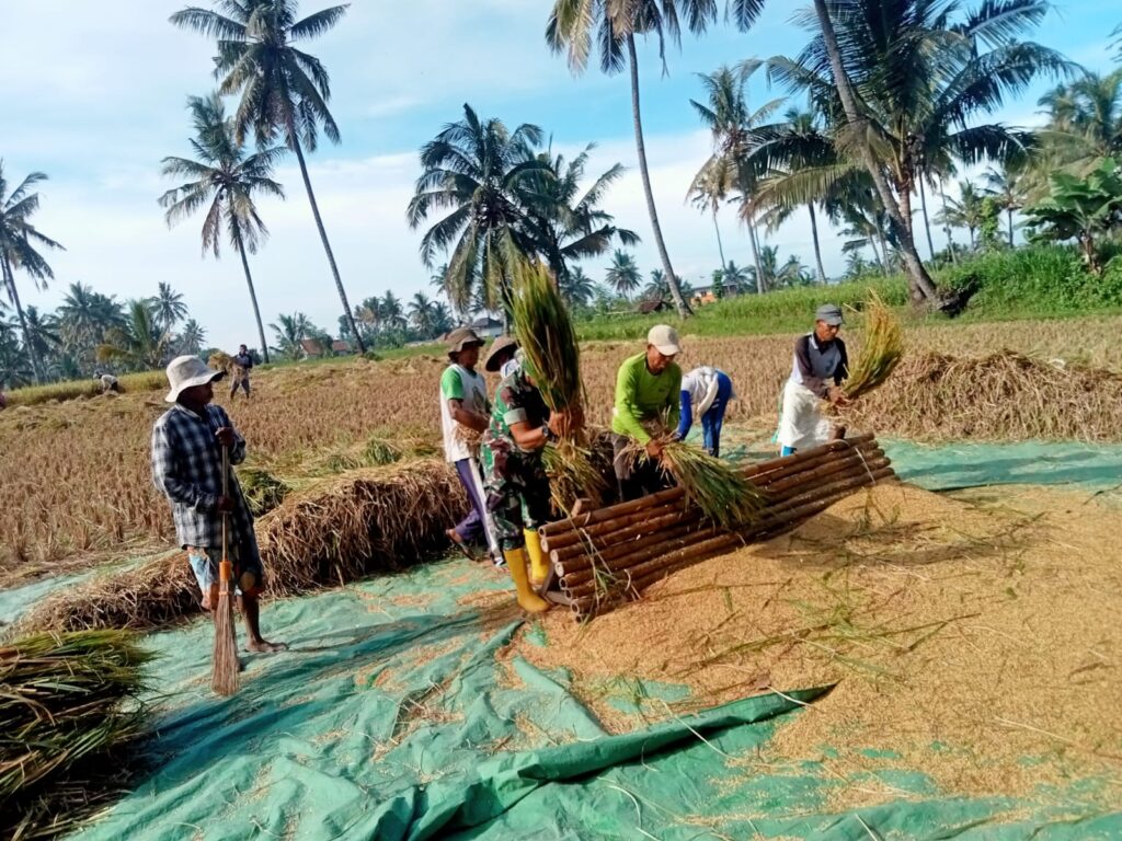 Babinsa Desa Kumbang Dampingi Sergab di Lahan Petani Dusun Kumbung Selatan