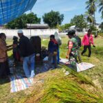 Babinsa Labuhan Haji Dampingi Serap Gabah Petani di Dusun Sisik