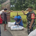 Babinsa dan Bulog Sergab Gabah Petani di Kuripan Utara