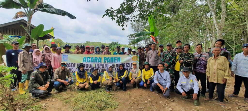 Panen Padi Unggul Varietes Nutrizink Desa Sungai Turut Dihadiri Peltu Winoto 