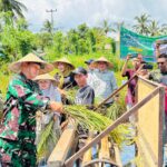 Lombok Utara Sambut Panen Raya Nasional, Presiden Prabowo Sapa Petani dari Jauh