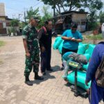 Babinsa Dan PPL Dampingi Bulog Sergab Panen Petani
