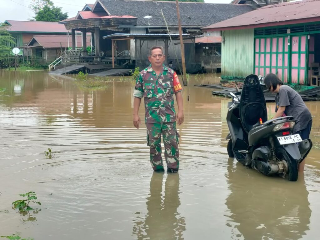 Babinsa Koramil 08/Muara Lawa Monitoring Banjir Luapan Sungai Kedang Pahu dan Sungai Lawa