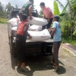 Babinsa Embung Raja Dampingi Satgas Sergap Panen Padi di Empat Lokasi