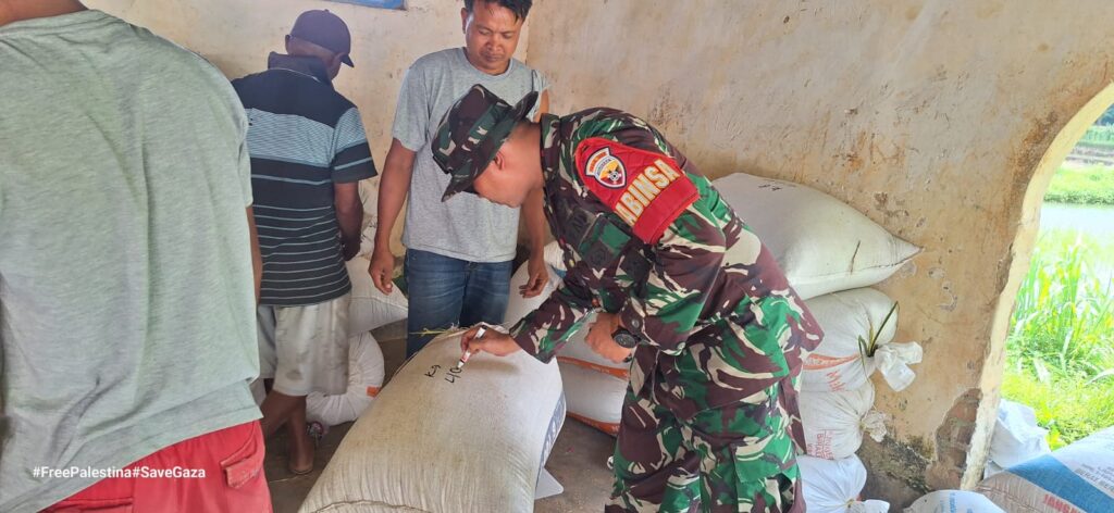 Kawal Hingga Ke Gudang Bulog, Babinsa Pastika Harga Gabah Petani Tetap 6.500