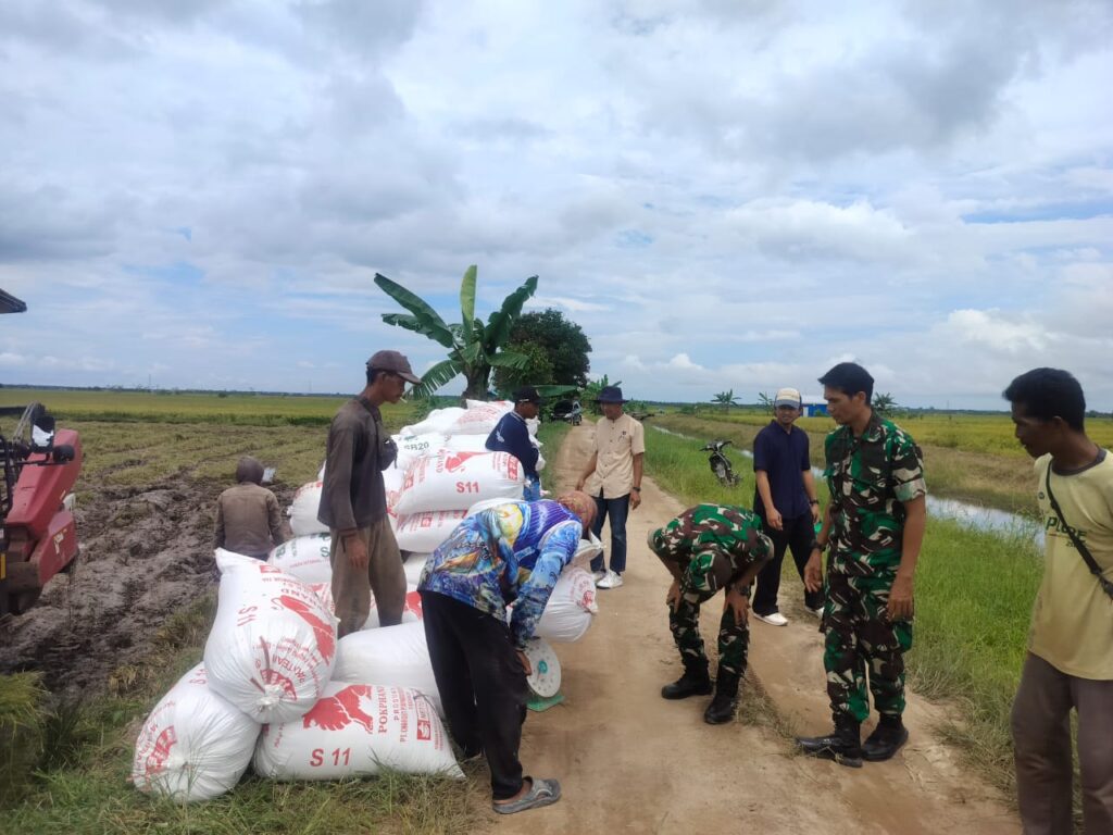 Dukung Program Sergab,Kodim 1015/Sampit Turun Langsung ke Lapangan