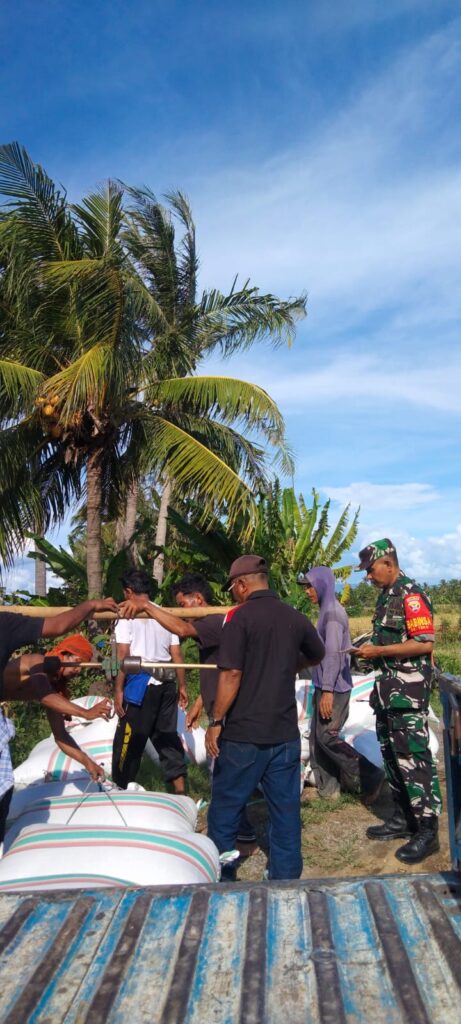 Babinsa Bantu Pendampingan Sergab di Desa Pringgabaya Utara