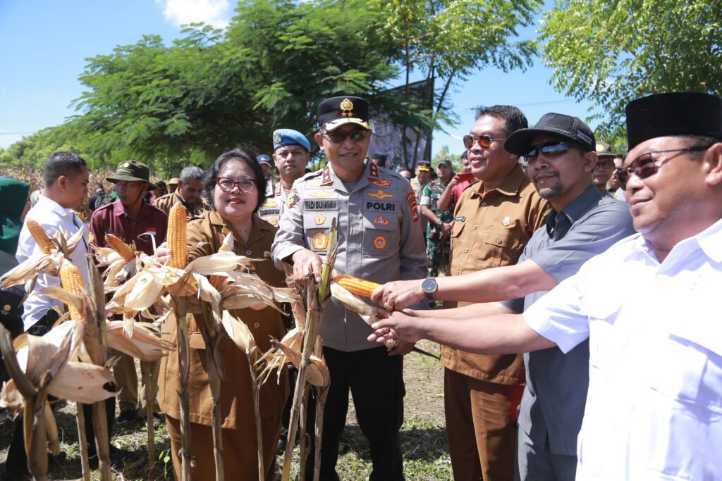 “Sinergi Polri dan Petani, Kapolda NTB Dampingi Mentan RI Panen Raya di Moyo Utara