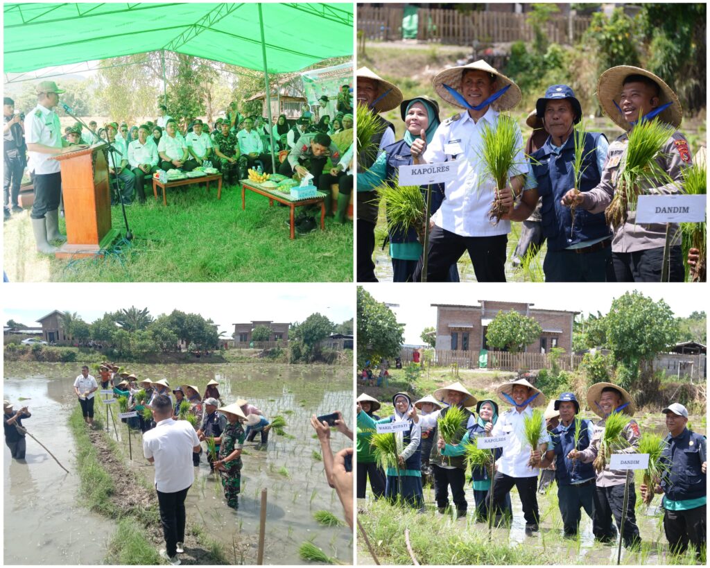Forkopimda Kab. Bima Gelar Tanam Serentak Dukung Astacita Ketahanan Pangan Nasional
