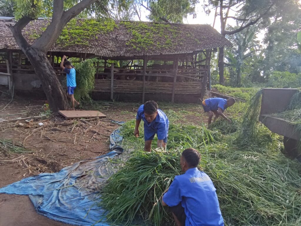 Pemberdayaan WBP di SAE Menanga Baris dan Program Ketahanan Pangan Lapas Kelas IIB Selong