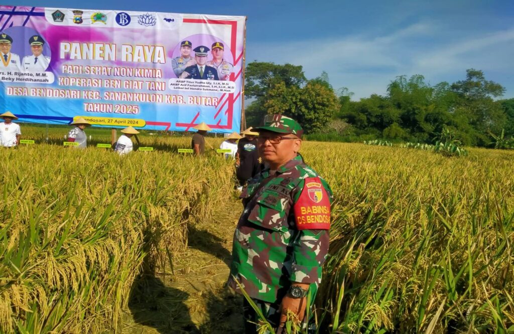 Dukung Ketahanan Pangan, Forkopimda Kabupaten Blitar Panen Raya Dan Sosialisasi Padi Sehat Organik