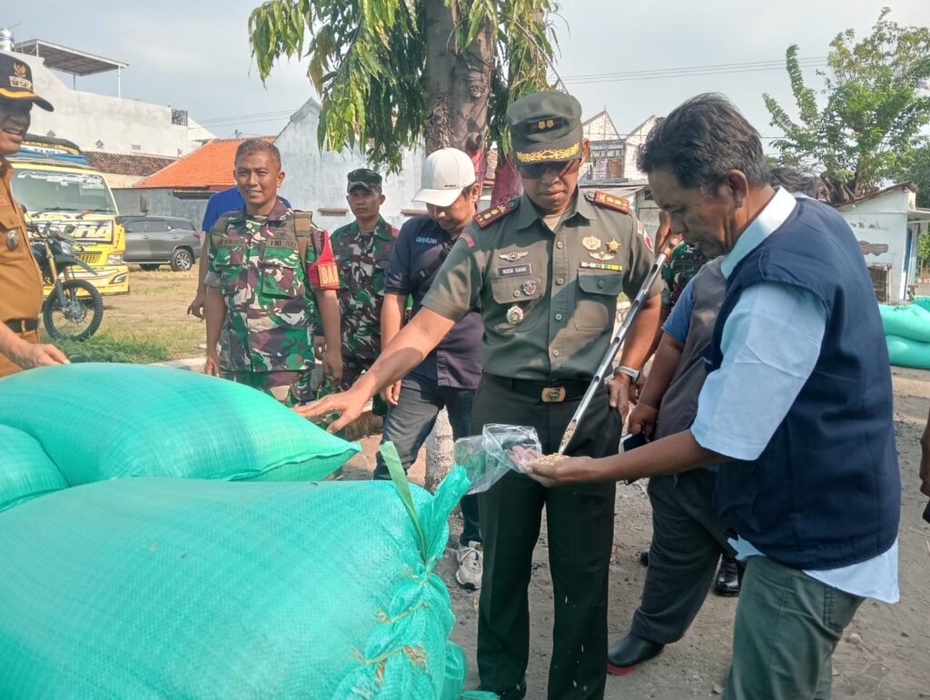 Dandim 0819 Pasuruan Tinjau Langsung Serapan Gabah Petani oleh Bulog