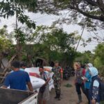 Sertu Anton Dampingi Penyerapan Gabah oleh Bulog di Desa Sungikulon, Pasuruan