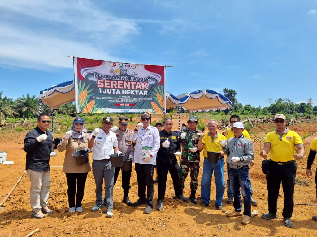 Dukung Program Ketahanan Pangan Nasional, Danramil 1015-05/Kota Besi Hadiri Penanaman Jagung