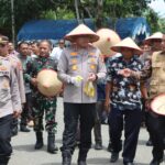 Dandim 0105/Abar Diwakili Danramil 03/Kaway XVI Hadiri Panen Perdana Jagung Di Desa Padang Sikabu
