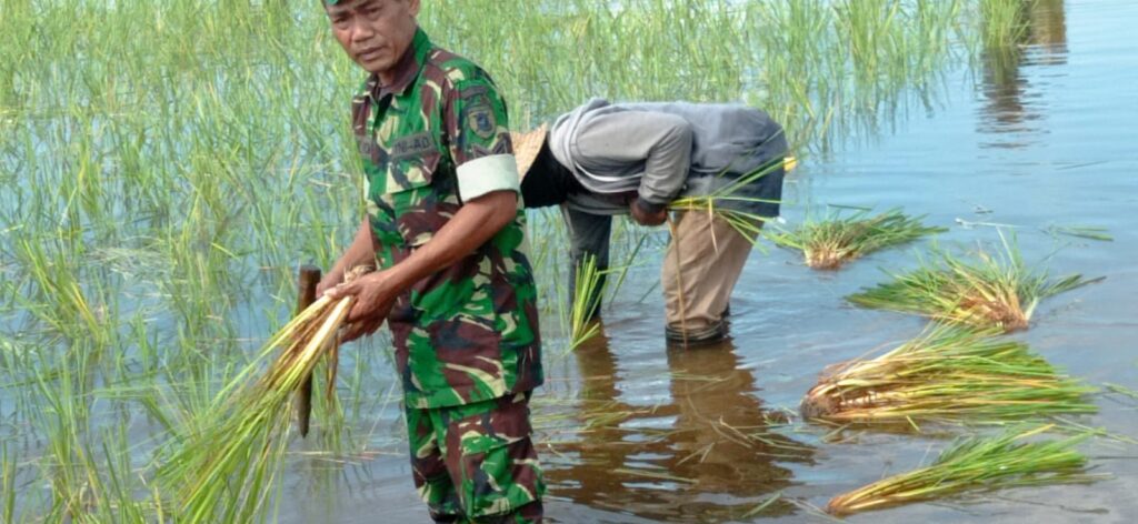 Kodim 1006/Banjar Ajak Warga Desa Belangian Jaga Kebersihan Lingkungan dan Cegah Stunting Lewat Kegiatan Komsos