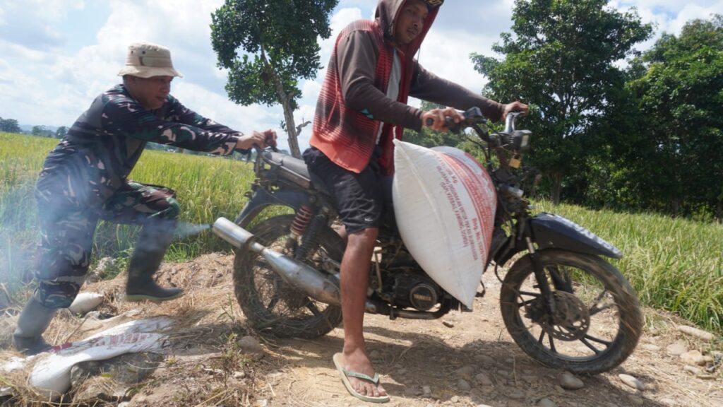 Kepedulian Satgas TMMD: Ulurkan Tangan Bantu Petani Bawa Hasil Panen