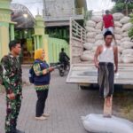 Serda Eka Wahyu dari Koramil 0819/03 Kraton Dampingi Serap Gabah Petani Bersama Bulog