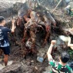 Satgas TMMD Ke-124, Bongkar Akar Pohon Penghalang Pondasi Jembatan di Desa Bagu