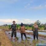 Dukung Program Pemerintah dalam MBG untuk Asta Cita, TNI Aktif di Forum RT/RW