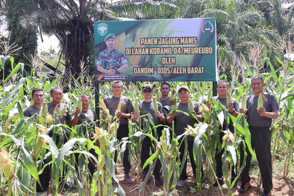 Kompi Produksi Kodim 0105/Abar Perkuat Kemandirian Pangan Berkelanjutan