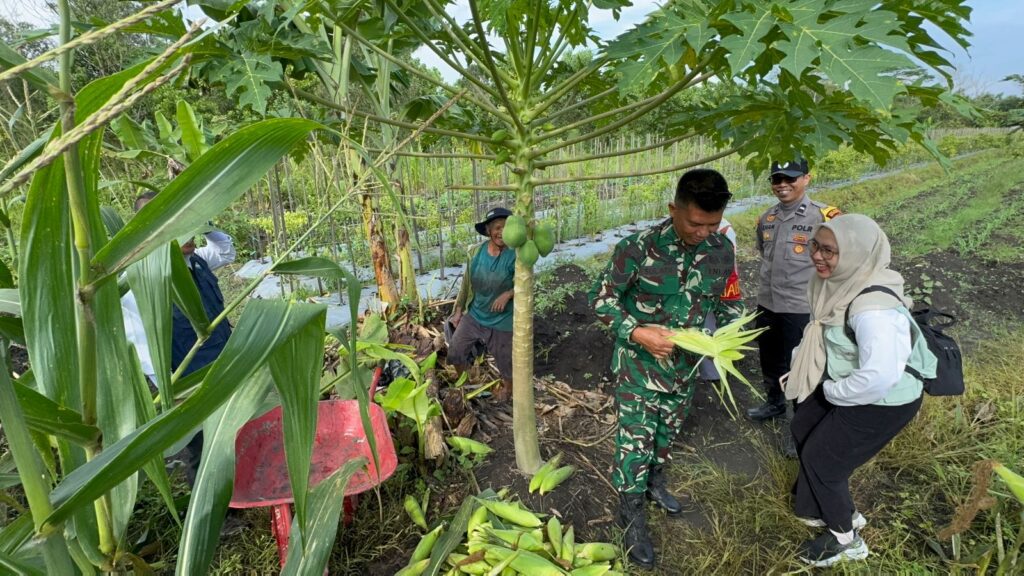 Babinsa dan Bhabinkamtibmas Ikut Bintek Pertanian, Bercocok Tanaman 