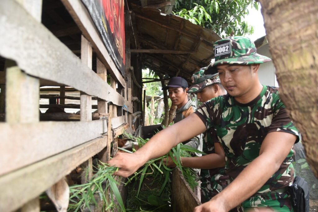 Usai Kerja Bakti TMMD, Satgas Kodim 1002/HST Jalin Silaturahmi dengan Peternak Kambing
